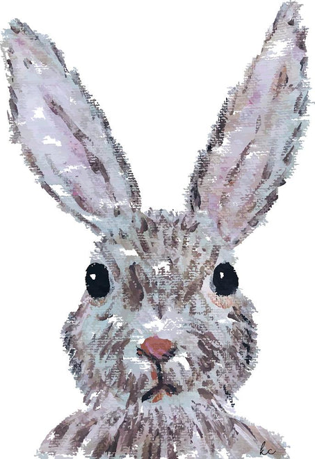 Bunny