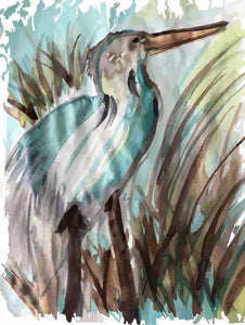 Coastal Bird
