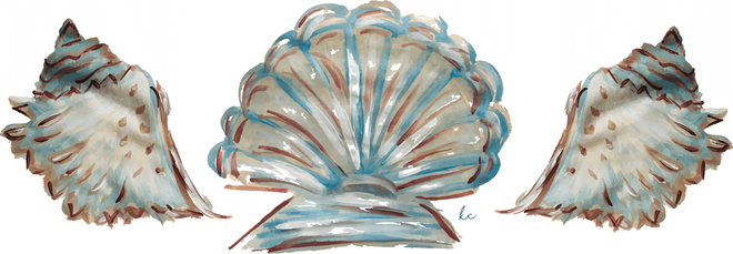 Shells