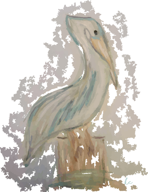 Pelican