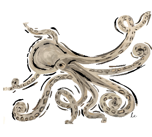 Octopus Gray