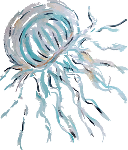 Jellyfish