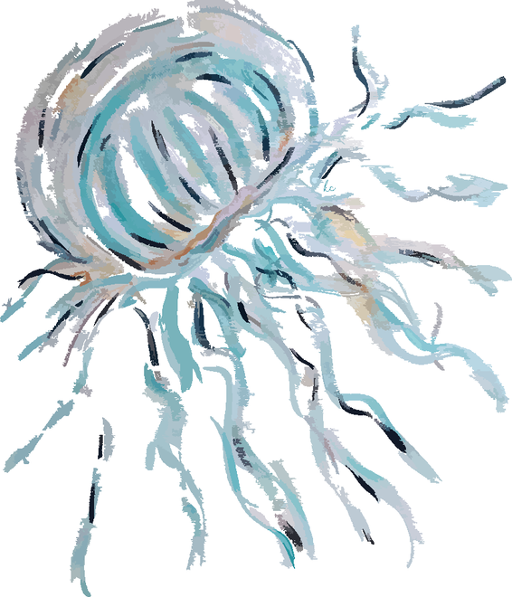 Jellyfish