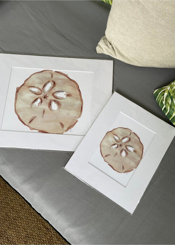 Sanddollar Matted Print