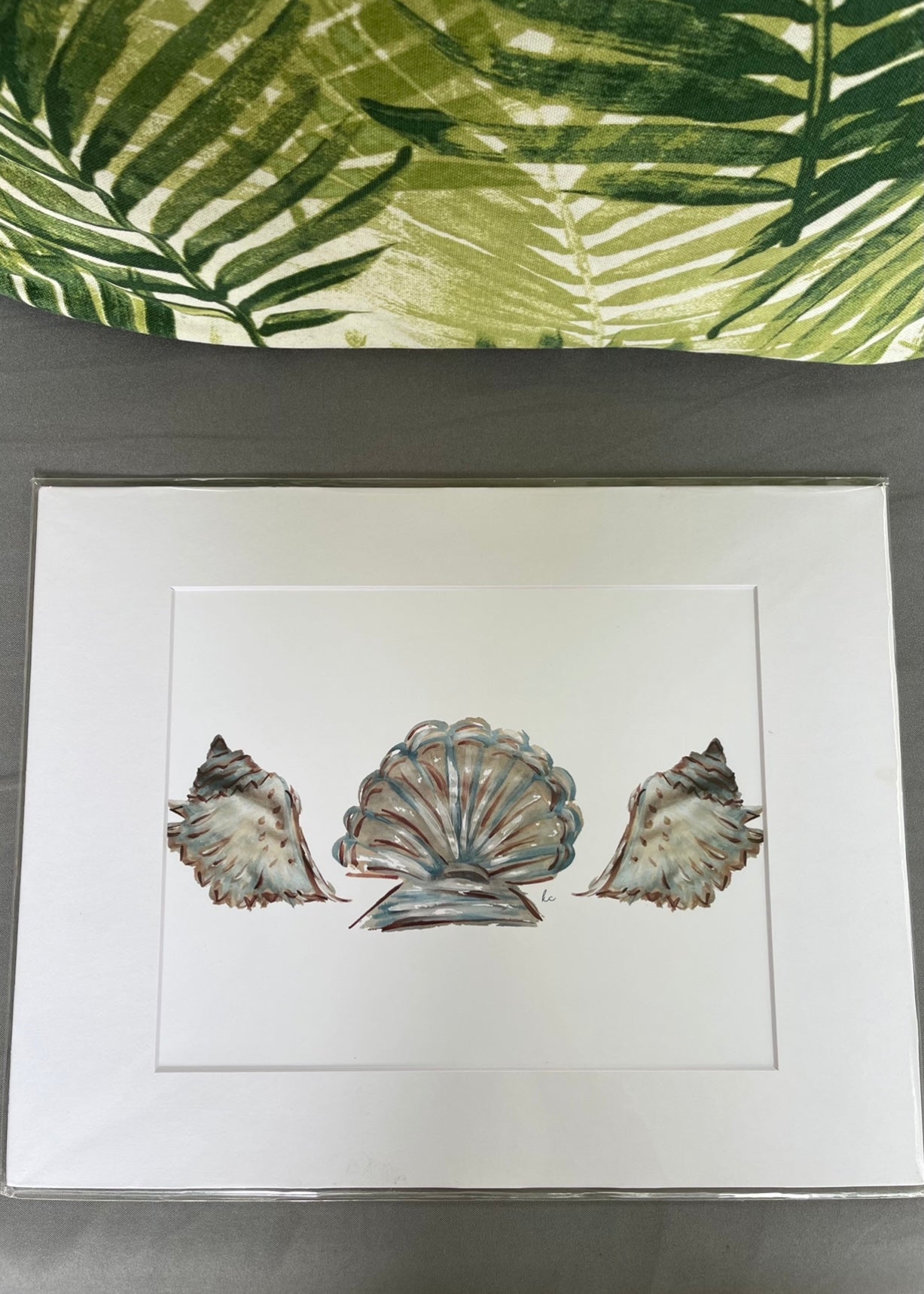 Shells Matted Print